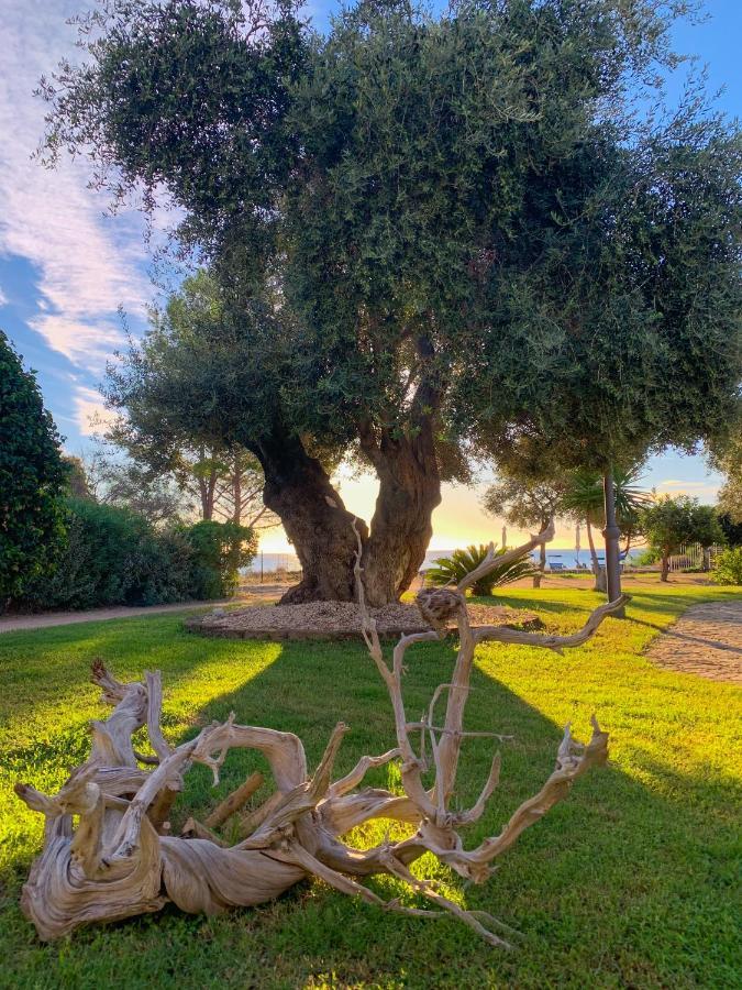Suites Voce Del Mare Tertenìa Dış mekan fotoğraf